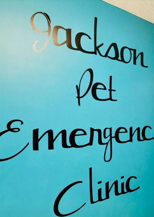 Jackson Pet Emergency Clinic, Tennessee, Jackson